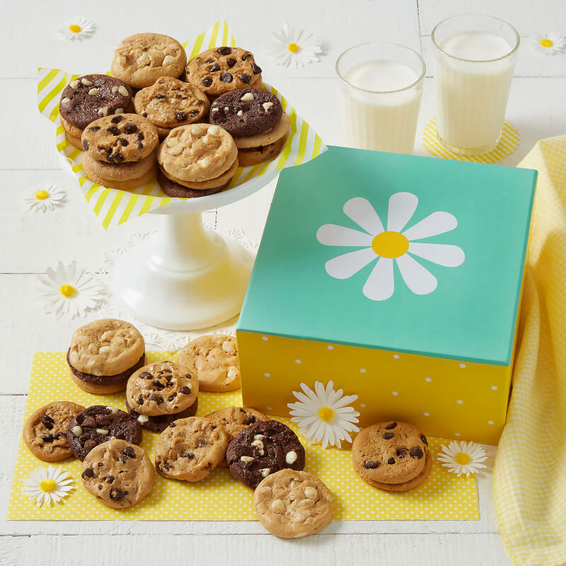 Daisy Sunshine Nibbler Box Daisy Sunshine Nibbler Box
