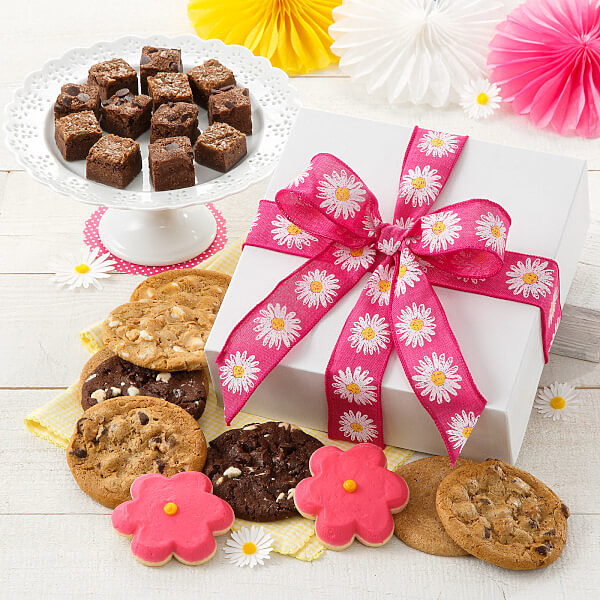 Spring Combo Box Spring Combo Box