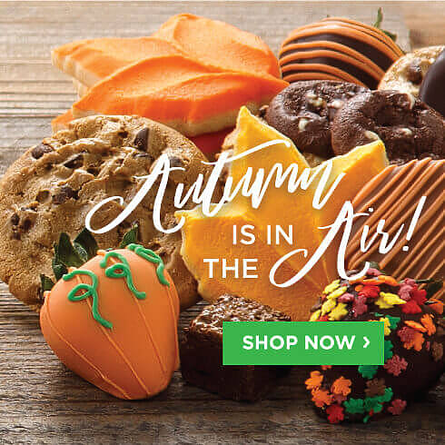 Autumn Is In The Air. Shop Now.
