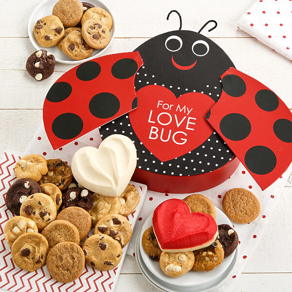 Love Bug Box Love Bug Box