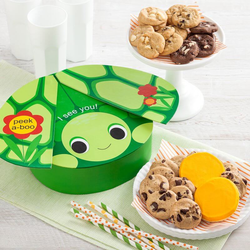 Turtle Surprise Box summer box gift